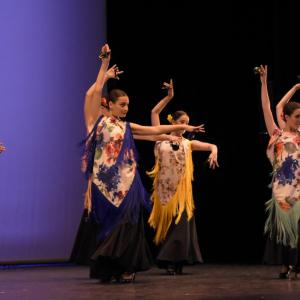 Fotografía de Talleres Danza Española (galería 2) - Conservatorio de Danza